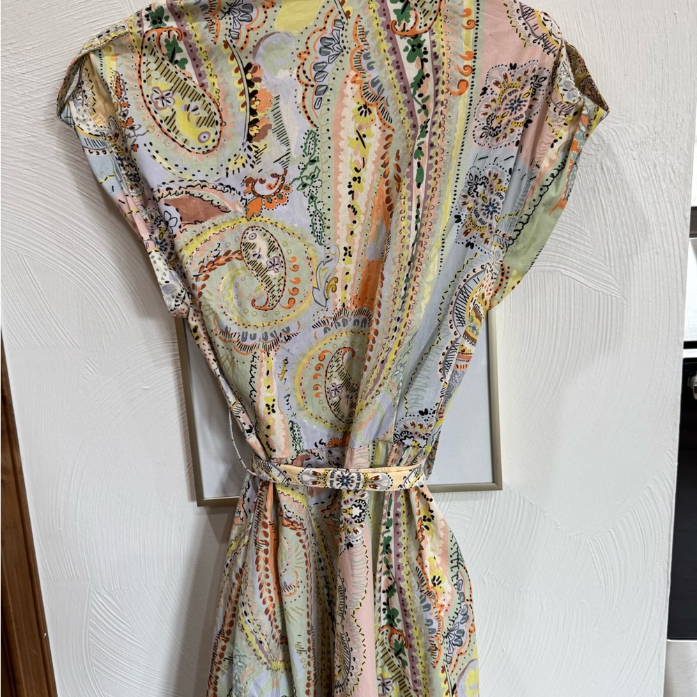 Zara Pastel Paisley Midi Dress - Picture 8 of 9